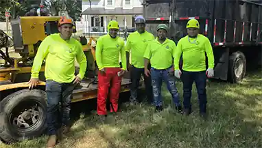 Tree-Service-Pro - Anderson Affordable Tree Removal Professionals